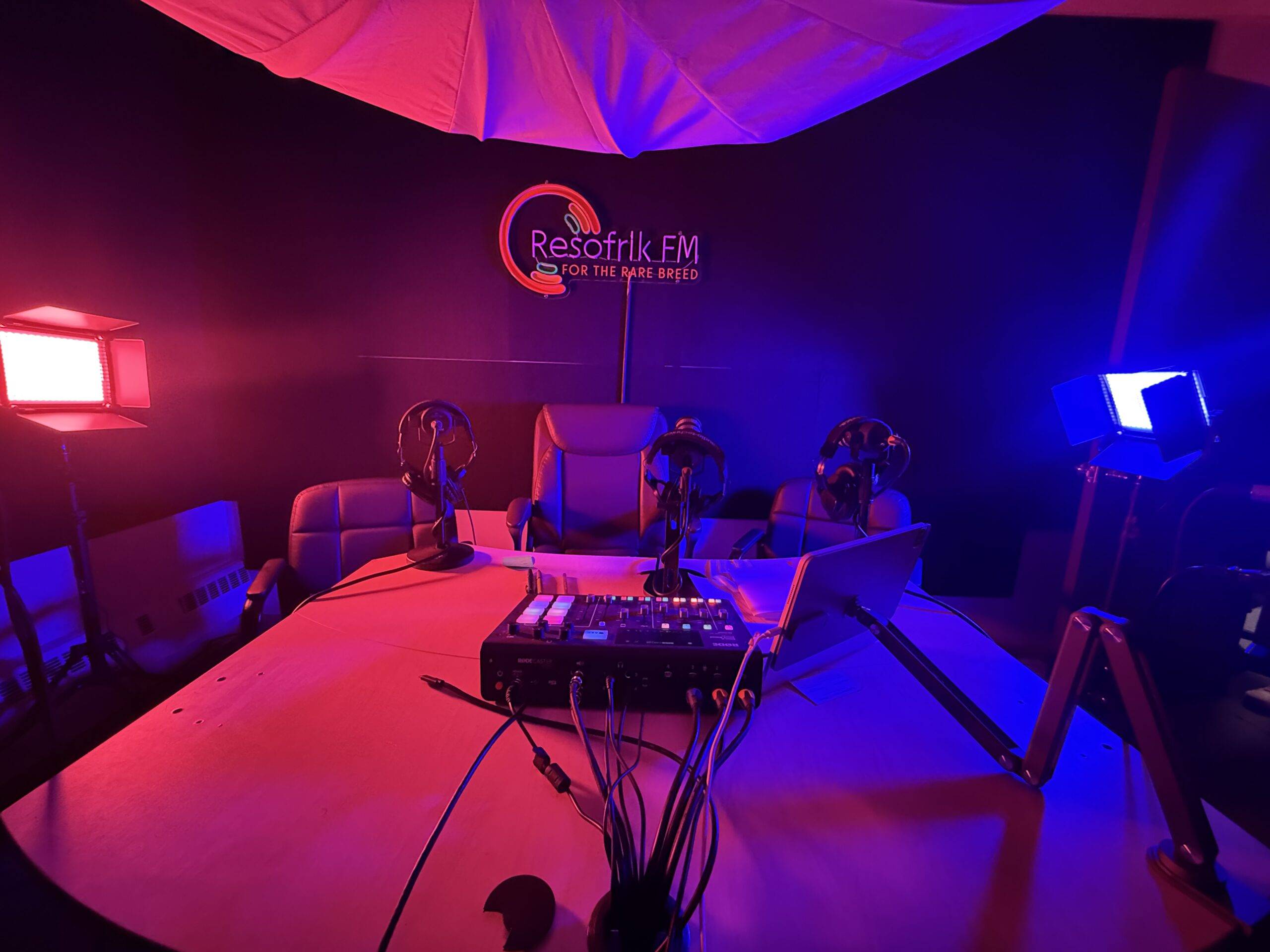 Vibrant Reggae performance in a modern studio setting